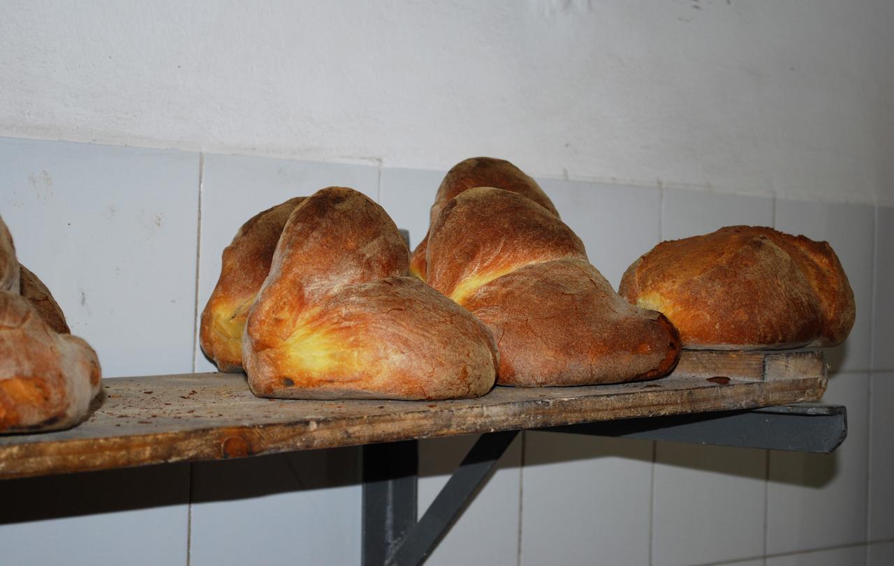 B&B Rossani Bari Zewnętrze zdjęcie